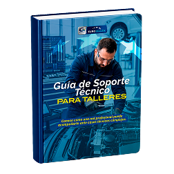 Guía de Soporte Técnico