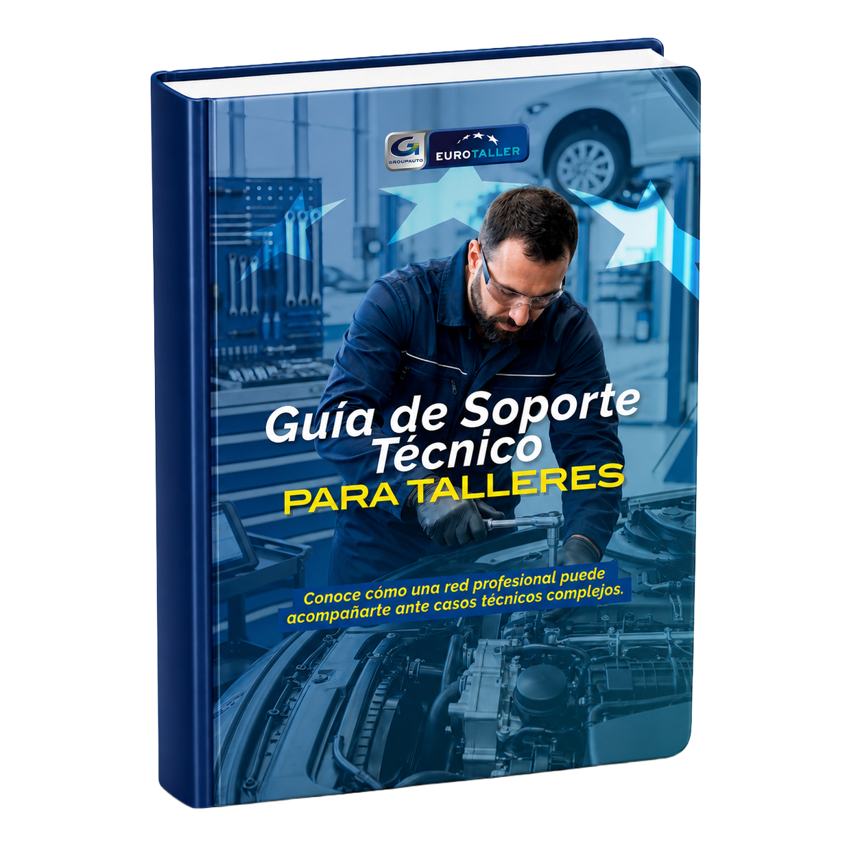Guía de Soporte Técnico